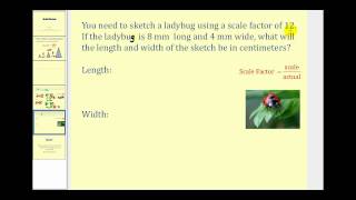 Scale Factor
