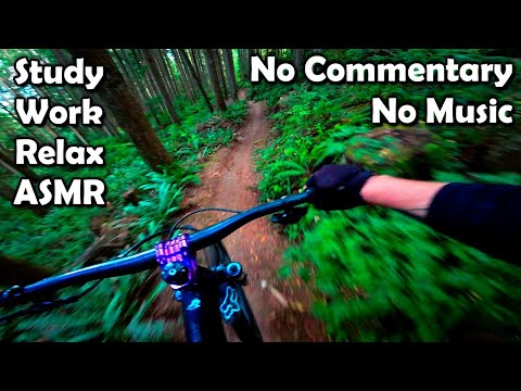 Mountain Bike ASMR POV || 2023