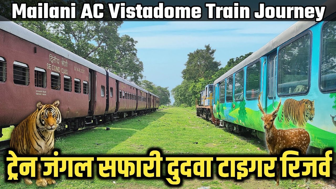 Mailani AC Vistadome Tourist Train Journey through Dudhwa Tiger Reserve || Jungle Safari by Train