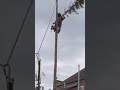 Zip lining! #treework #treecutting #arblife