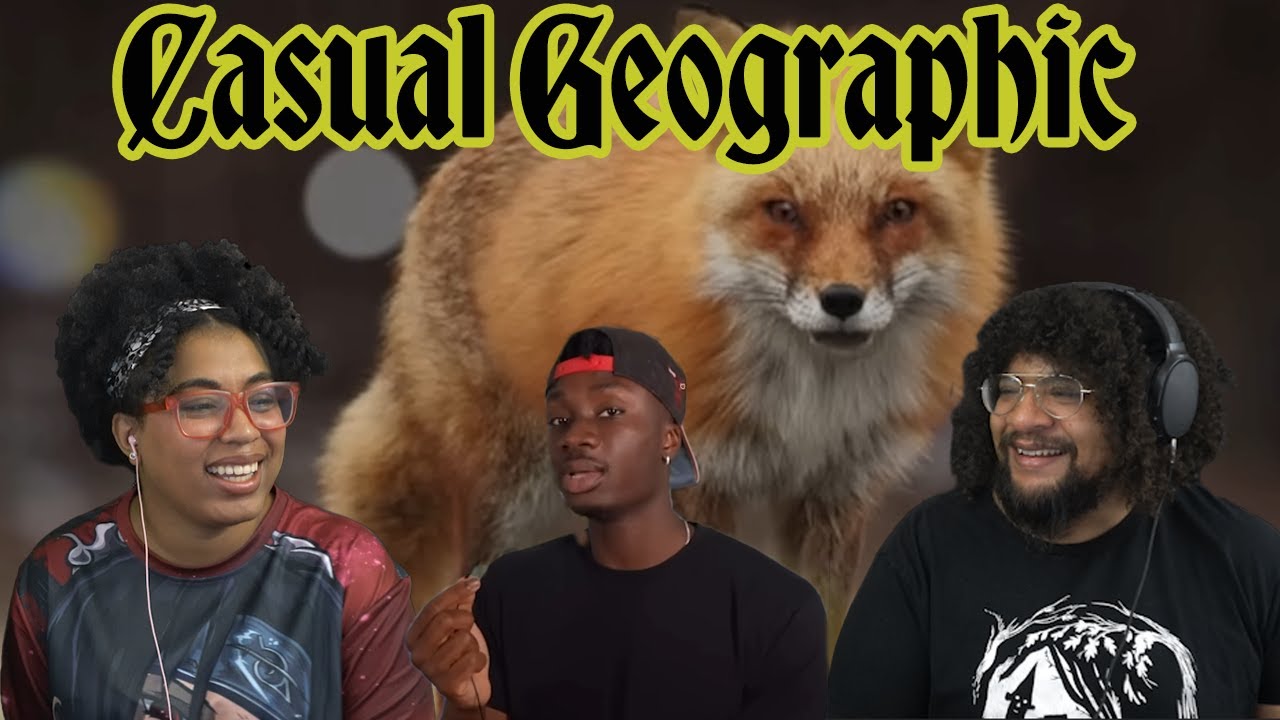 Casual Geographic: How A Tiny CatDog Took Over The World ft. Chavezz