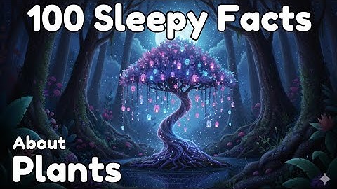 The Most Relaxing Facts About Plants to Fall Asleep To | Sleepy Science Universe