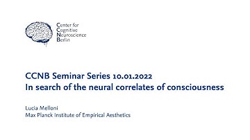 Lucia Melloni: In search of the neural correlates of consciousness