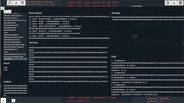 Ethereum-flavored WebAssembly Virtual Machine and Debugger