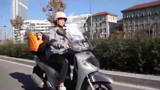 Pet On Wheels - Take Your Dog Or Cat Anywhere