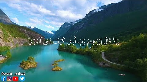 ﴿ و إذا قال إبراهيم رب أرني كيف تحى الموتى ﴾ سورة البقرة الآيه 260 / القارئ مشاري العفاسي