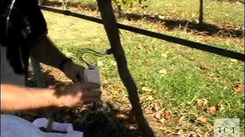 HRM Sap Flow Sensor - Probes