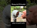 ترفندایی که کاش زودتر یاد می گرفتیم سمعها