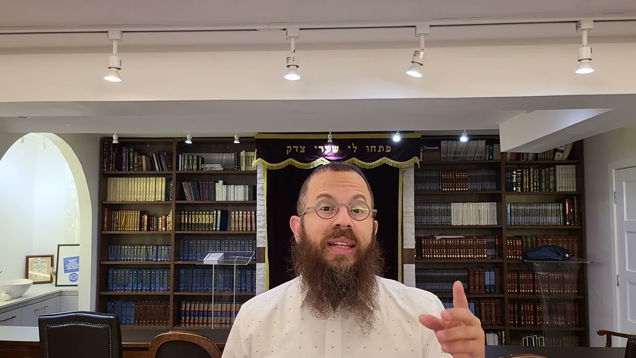 מדוע התורה מצווה למנות מלך? פרשת שופטים. הרב דוד כץ חב"ד ווסט המפסטד