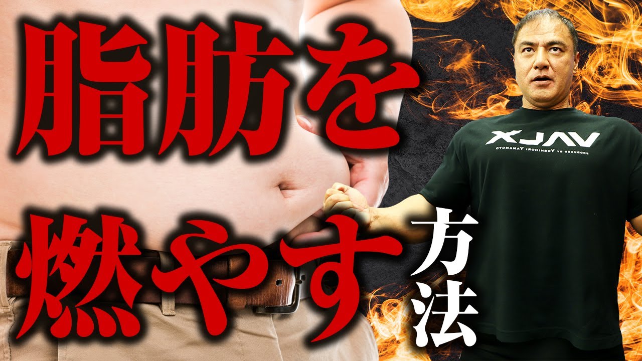 【減量】体脂肪を燃やすためにはケトジェニック？ローファット？身体を絞るための本当の食事法【ダイエット】