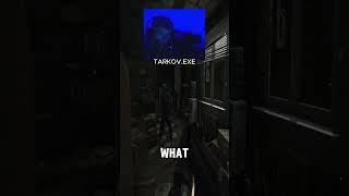 Tarkov Bug