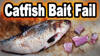 Why Big Catfish Baits Don't Work Here Is Why I Dont Eat The Big Catfish I Catch