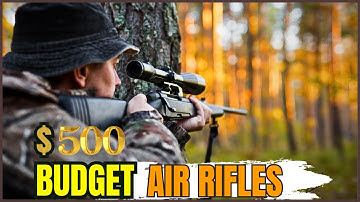 Top 10 Best Budget Air Rifle Under $500 For Hunting In 2024