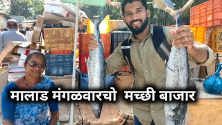 मलड मगळवरच मचछ बजर Malad Tuesday Fish Market