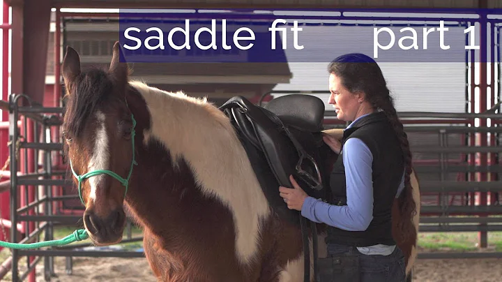 Saddle Fit Part 1 - Shoulders and back