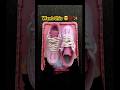 Elevate Your Fit! These Pink Sneakers Go With Literally Everything #sneakerhead #hypebeast #kicks