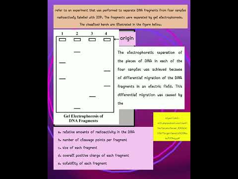วีดีโอ: แบบทดสอบเจลอิเล็กโตรโฟรีซิสใช้ปัจจัยอะไรในการแยกโมเลกุลดีเอ็นเอ