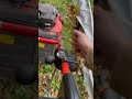 Satisfying Day as a Landscaper