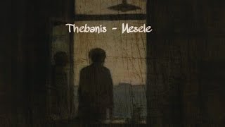 Thebanis - Mesele ( official video ) Resimi