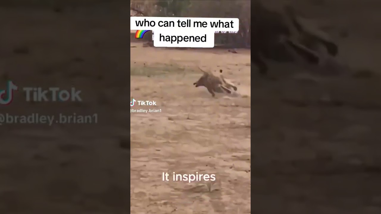 Kasongo yeye😅😅😅