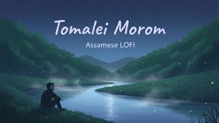 Tomalei Morom | Assamese Lofi Song 2026 | Chill Romantic Assamese Lofi |Himanshu records