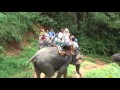 Прогулка на слонах остров Као Лак Пхукет. Катание на Слонах Тайланд