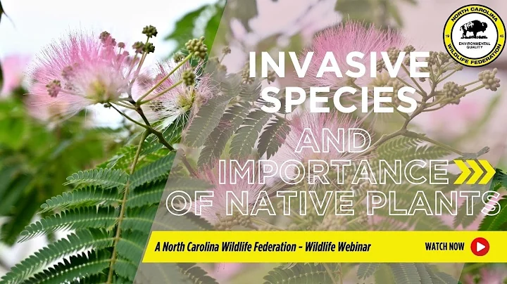 Invasive Species and the Importance of Native Plants - North Carolina Wildlife Federation