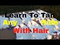 Tanning Hides - Learn How To