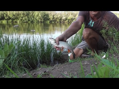 Как я парю пшеницу, как насаживаю и что ловится. Fishing rod float