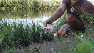 Как я парю пшеницу, как насаживаю и что ловится. Fishing rod float