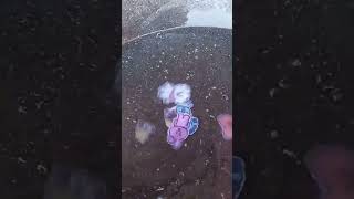 POV: SWIM 🏊‍♀️ #swim #bts #bt21 I JUST WANA DIVE I JUST WANA DIVE ☝️🤓