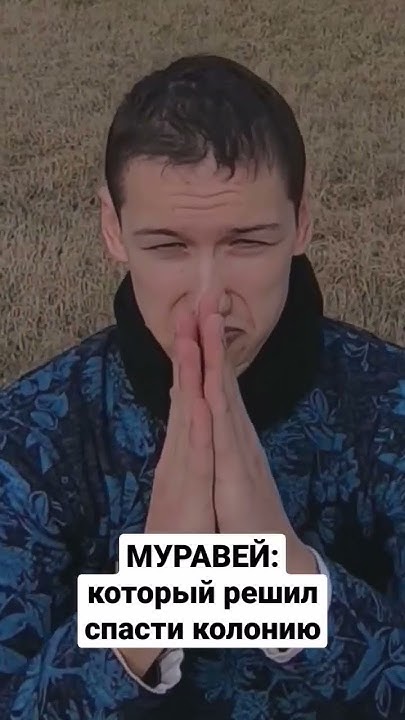 Храбрый муравей - YouTube