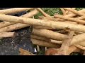 Бункерный окорочный станок БОС для групповой окорки Бункерный окорочный станок БОС для групповой окорки