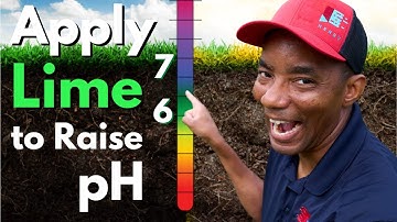 Increasing pH of your lawn with Lime