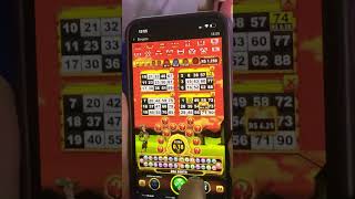 Bingo online Pós-SPA/MF: Como Ficou o Mercado em 2026