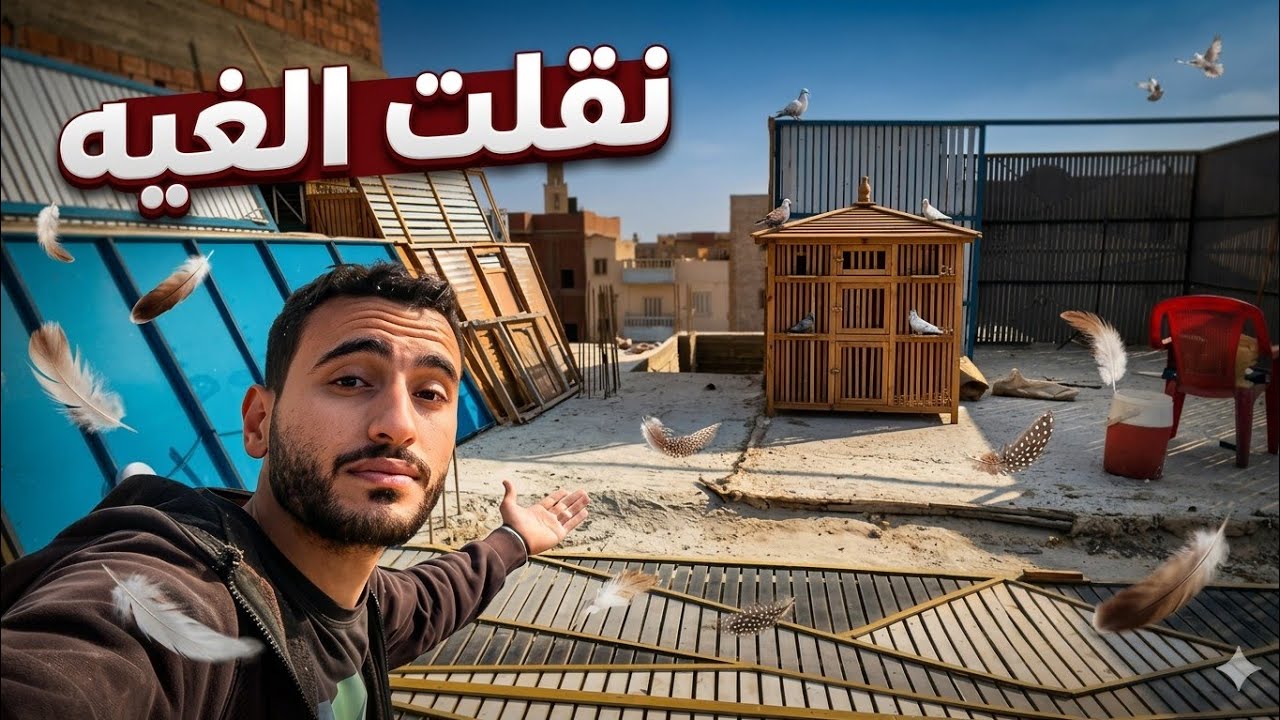 فكيت غيه الحمام 😯 ونقلتها في المكان الجديد !