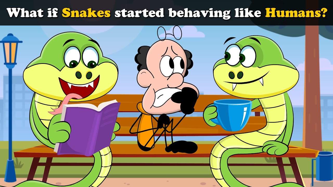 What if Snakes started behaving like Humans? + more videos | #aumsum # ...