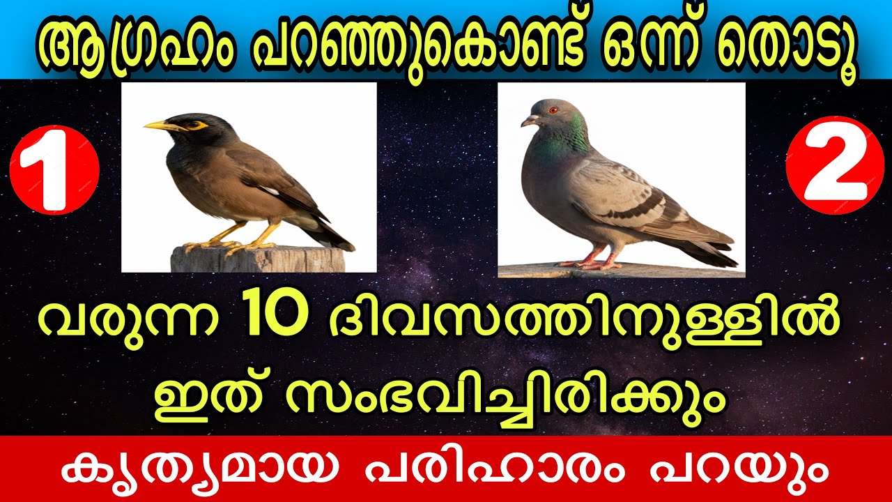 ഇതിൽ ഒന്ന് തൊടൂ വരുന്ന 10 ദിവസത്തിനുള്ളിൽ അത് സംഭവിച്ചിരിക്കും / #astrology #malayalam 