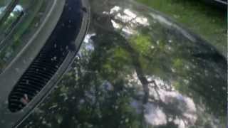 Celebrity Requake - Waterdrops VIP Wealth