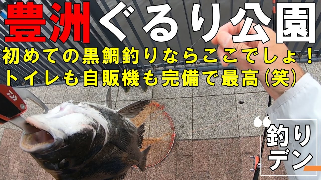 「ヘチ釣り」初めて黒鯛釣るならここでしょ！豊洲ぐるり公園