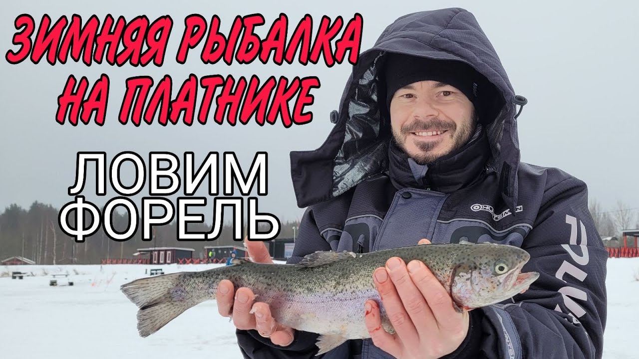 Рыбалка на платнике зимой. Ловим ФОРЕЛЬ! - YouTube