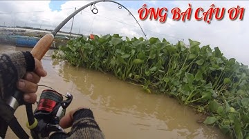 Câu cá tra,cá cóc,cá mè dảnh chúng mánh đụng ngay ổ cá khủng |Câu cá tra sông.