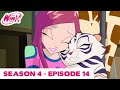 Winx Club FULL EPISODE 7 The Perfect Number Season 4 Episode 14 