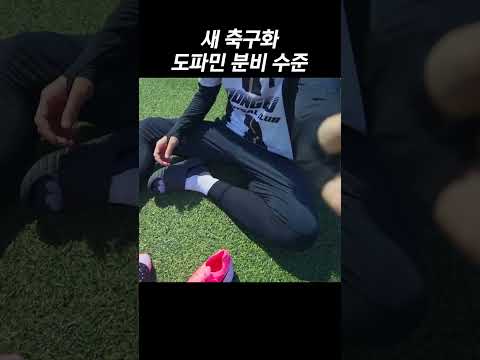 <strong>나이키가</strong> 왜 망해? 점유율 1위 축구화