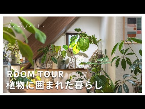 【ルームツアー】1LDKの賃貸で植物と暮らす