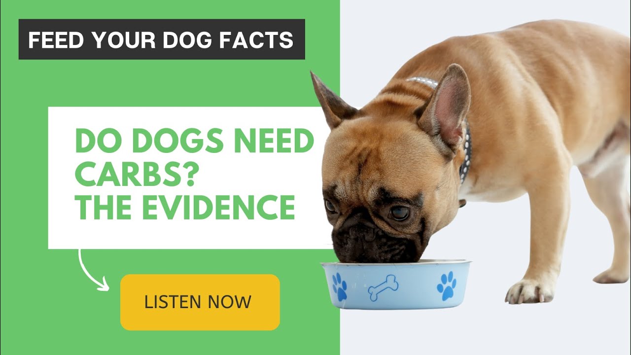 Feed Your Dog Facts Ep 10 Do Dogs Need Carbs The Evidence YouTube feed-your-dog-facts-ep-10-do-dogs-need-carbs-the-evidence-youtube