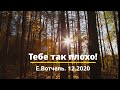 Тебе так плохо!