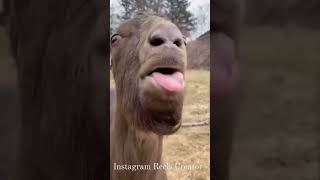 Hello Hello