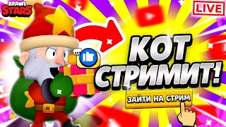 СТРИМ БРАВЛ СТАРС | ПУШИМ КУБКИ | АПАЕМ РАНГИ