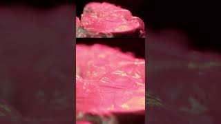 Brain Massage! Subscribe for more! #asmr